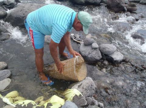 Le Bichique, à l'interface entre écologie et anthropologie